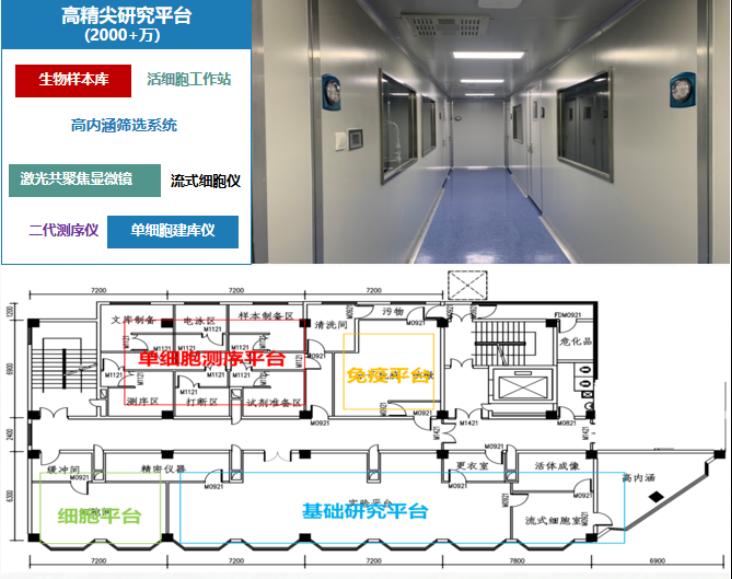 裸聊直播