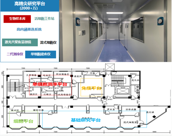 裸聊直播